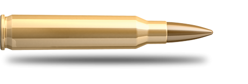 strzelnica – 223 rem Strzelnica Target